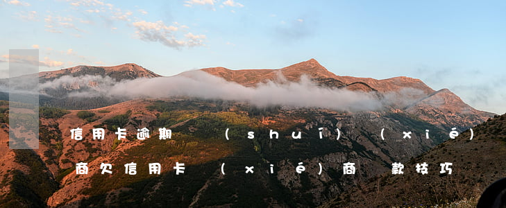 信用卡逾期與誰(shuí)協(xié)商(欠信用卡協(xié)商還款技巧)