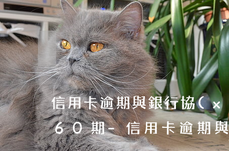 信用卡逾期與銀行協(xié)商能不能還60期-信用卡逾期與銀行協(xié)商能不能還60期的錢