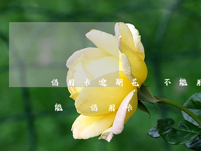 信用卡逾期花唄不能用了(花唄逾期為什么不能辦信用卡)