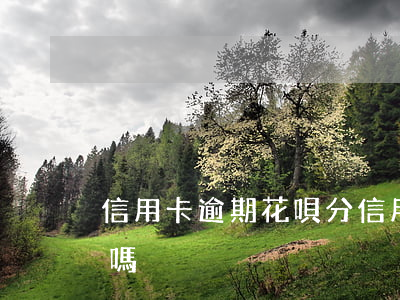 信用卡逾期花唄分(信用卡逾期花唄分期可以嗎)