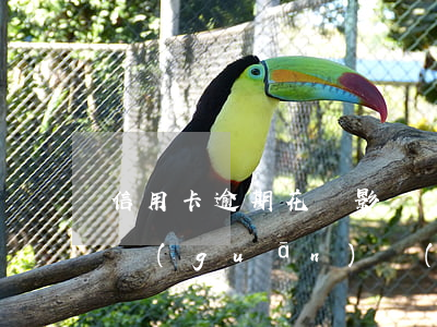 信用卡逾期花唄影響嗎(花唄跟信用卡逾期有關(guān)聯(lián)嗎)
