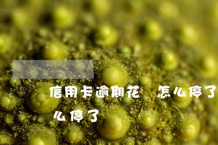 信用卡逾期花唄怎么停了(信用卡逾期花唄怎么停了)
