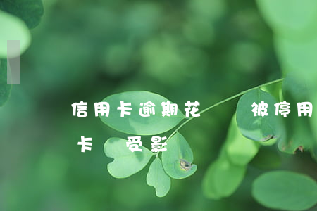 信用卡逾期花唄會被停用嗎(花唄逾期了信用卡會受影響嗎)