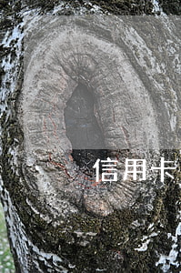 信用卡逾期英文怎么說(逾期付款英文)