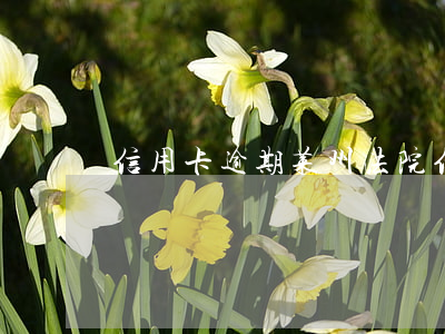 信用卡逾期莱州法院(信用卡逾期莱州法院)