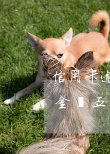 信用卡 逾期 萬(wàn)五 每日（信用卡逾期金額五萬(wàn)）