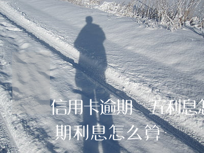 信用卡逾期萬五利息怎么計算(5萬信用卡逾期利息怎么算)