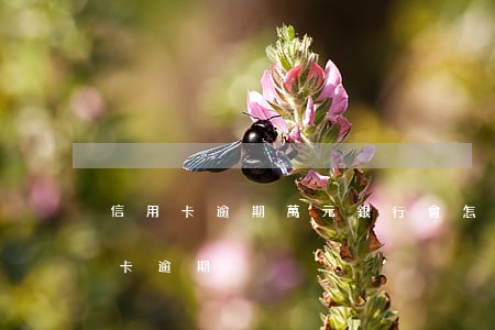 信用卡逾期萬元銀行會怎么處理(幾千塊信用卡逾期)