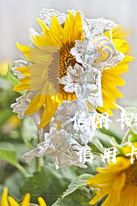 信用卡逾期萬分之5合規(guī)嗎(5張信用卡全面逾期怎么辦)