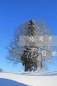 信用卡逾期萬分之五復息是啥意思-信用卡5萬逾期利息怎么算