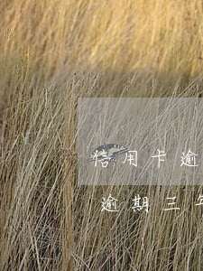 信用卡逾期萬用金會被取消嗎(一萬的信用卡逾期三年)