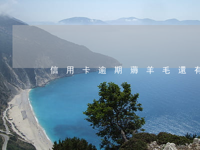 信用卡逾期薅羊毛(還有羊毛薅的信用卡)
