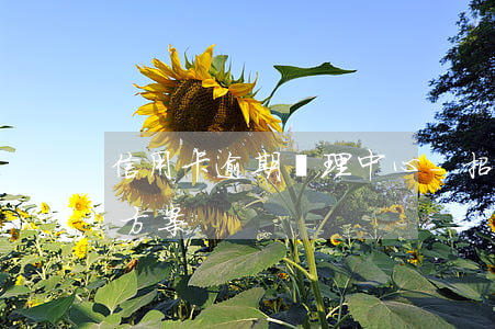 信用卡逾期處理中心-招行信用卡逾期處理方案