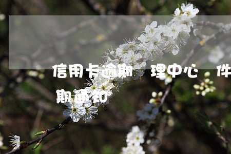 信用卡逾期處理中心郵件(郵箱收到信用卡逾期通知)