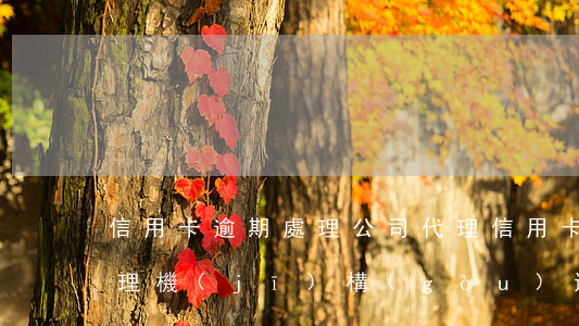 信用卡逾期處理公司代理(信用卡逾期處理代理機(jī)構(gòu)違法嗎)