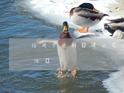 信用卡逾期處理公司(信用卡逾期處理公司違法嗎)