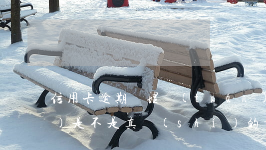 信用卡逾期處理團(tuán)隊(duì)是不是真實(shí)的-信用卡逾期處理團(tuán)隊(duì)是不是真實(shí)的案例
