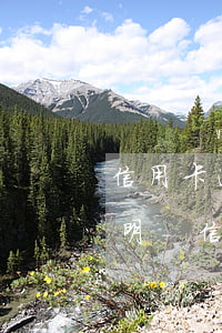 信用卡逾期處理完后要開(kāi)代償證明-信用卡逾期處理完后要開(kāi)代償證明嗎