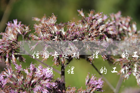 信用卡逾期處理專員的工作怎么樣-信用卡逾期處理專員的工作怎么樣呢