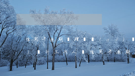 信用卡逾期處理專業(yè)機構(gòu)(銀行工作人員信用卡逾期怎么辦)