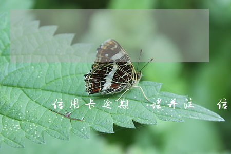 信用卡逾期處理并注銷(信用卡 到期 注銷)