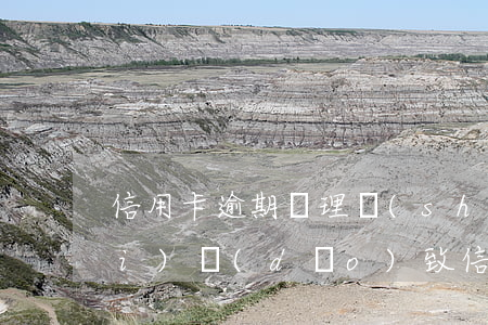 信用卡逾期處理書(shū)(因年費(fèi)導(dǎo)致信用卡逾期情況說(shuō)明書(shū))