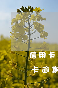 信用卡逾期處理法律依據(jù)(關于信用卡逾期的相關法律)