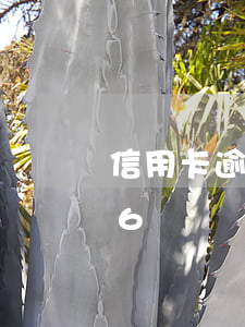 信用卡逾期處理流程6 信用卡逾期處理流程6