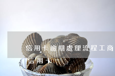 信用卡逾期處理流程工商-如何處理逾期的信用卡