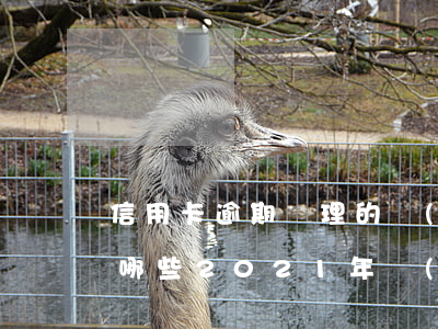 信用卡逾期處理的業(yè)務(wù)有哪些(2021年對(duì)于信用卡逾期的處理)