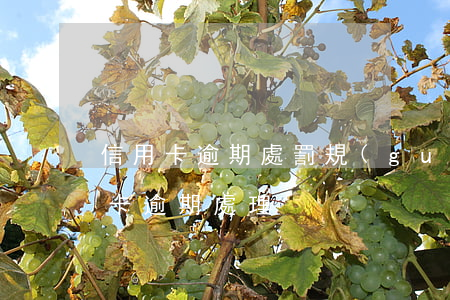 信用卡 逾期處罰規(guī)定 最新的信用卡逾期處理