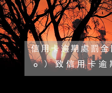 信用卡逾期處罰金(因受到刑事處罰導(dǎo)致信用卡逾期)