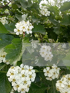 信用卡逾期處罰金多少（信用卡逾期處罰金多少）
