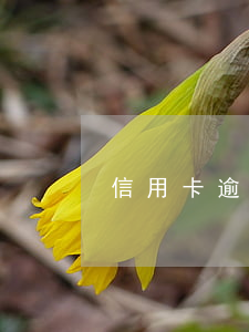 信用卡逾期融e借額度(融e借還信用卡)