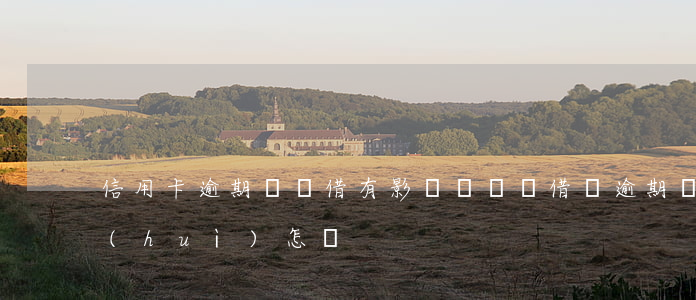 信用卡逾期螞蟻借有影響嗎(螞蟻借唄逾期會(huì)怎樣)