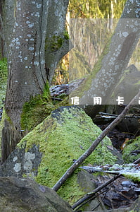 信用卡逾期 螞蟻莊園-信用卡逾期 螞蟻莊園