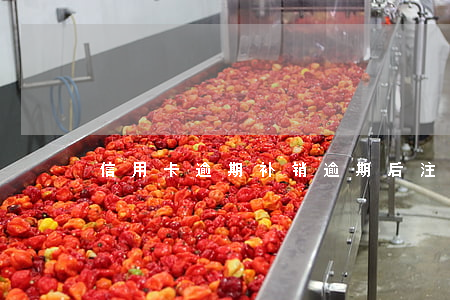 信用卡逾期补销(逾期后注销信用卡)