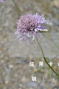 信用卡逾期表現(xiàn)(信用卡逾期表現(xiàn)形式)