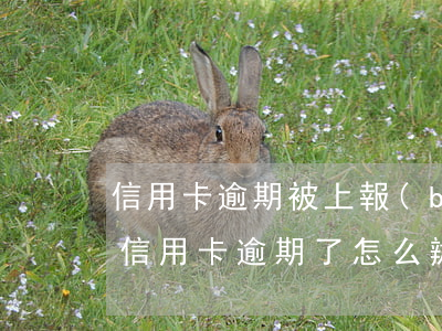 信用卡逾期被上報(bào)了怎么辦-我信用卡逾期了怎么辦