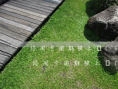 信用卡逾期被上報(bào)征信的影響-信用卡逾期被上報(bào)征信的影響