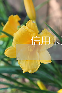 信用卡逾期被上報了-信用卡逾期被上報了