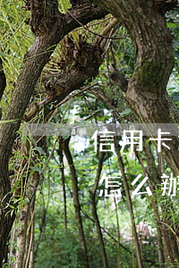 信用卡逾期被上報怎么辦-我信用卡逾期了怎么辦