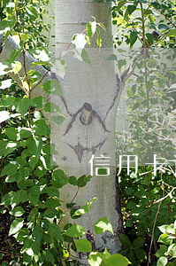 信用卡逾期被上征信咋辦(征信逾期 信用卡)