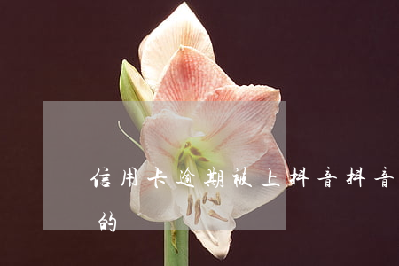 信用卡逾期被上抖音(抖音里面辦信用卡是真的嗎)
