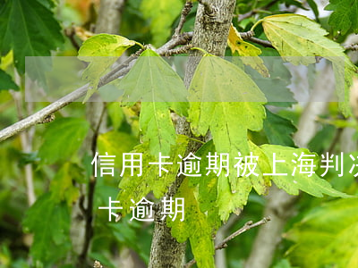 信用卡逾期被上海判决后续流程(被抓了信用卡逾期)