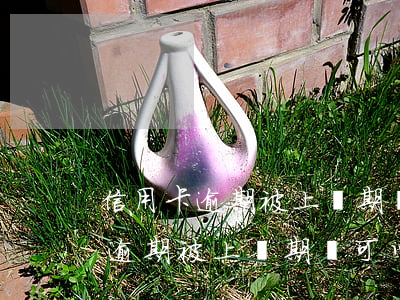 信用卡逾期被上訴期間可以還款嗎-信用卡逾期被上訴期間可以還款嗎知乎
