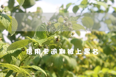 信用卡逾期被上黑名單