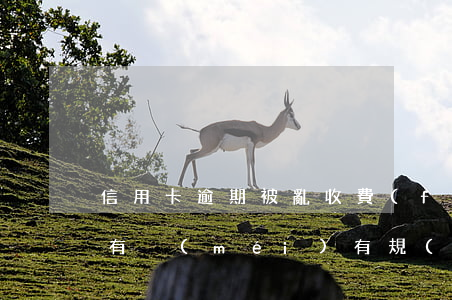 信用卡逾期被亂收費(fèi)怎么辦(法律有沒(méi)有規(guī)定信用卡逾期收費(fèi)多少)