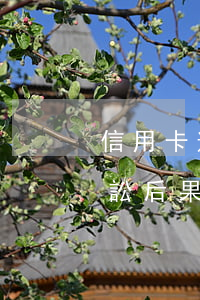 信用卡逾期被人起訴后果(信用卡逾期民事訴訟后果)