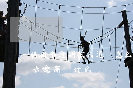 信用卡逾期被人追債怎么辦(收到別人的信用卡逾期為什么)